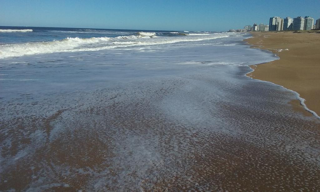 Spiaggia Brava Punta Punta del Este Eksteriør bilde