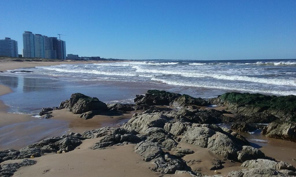 Spiaggia Brava Punta Punta del Este Eksteriør bilde